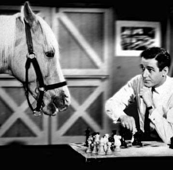 Mister Ed