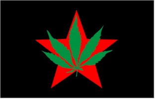 Flag with leaf