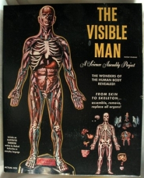 Visible Man