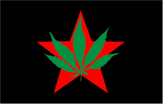 Yippies party flag