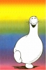 The Shmoo