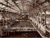 Sutro Baths