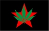 The Youth International Party (Yippies)