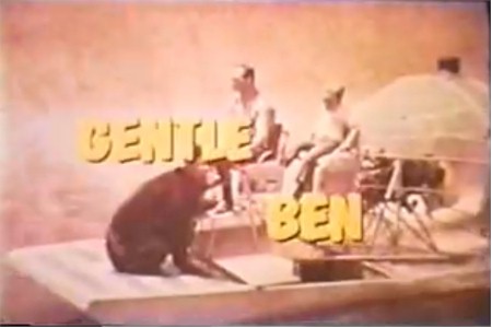 Gentle Ben