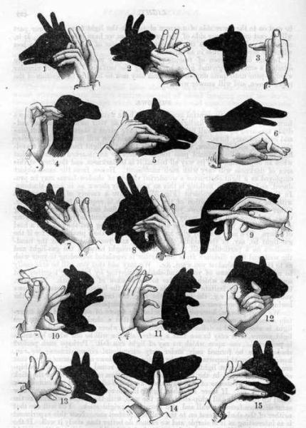 Making hand shadow animals