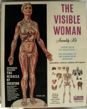 Visible Woman