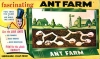 Ant Farm