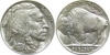 Buffalo nickels