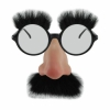 Groucho glasses