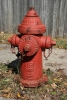 Red fire hydrants